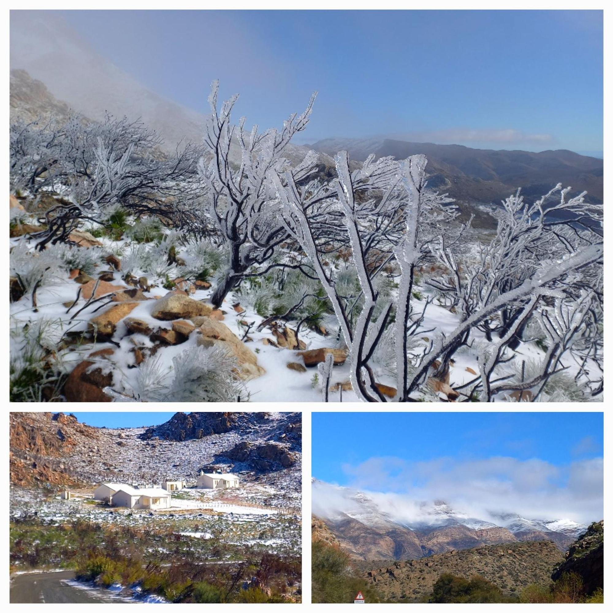Aloe Valley Retreat Oudtshoorn Eksteriør billede